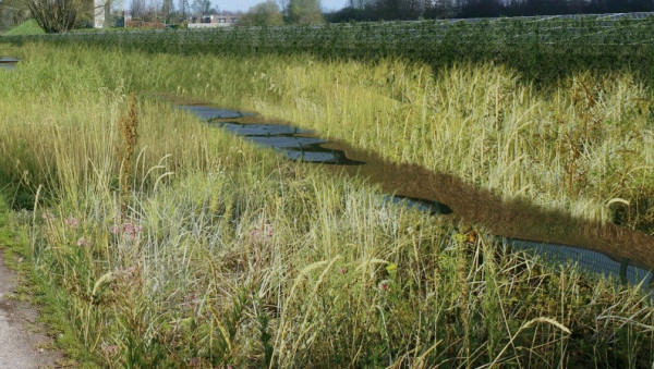 Natuurvriendelijke oever